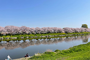 河川敷